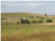 . Bradys Plains, Parkham TAS 7304