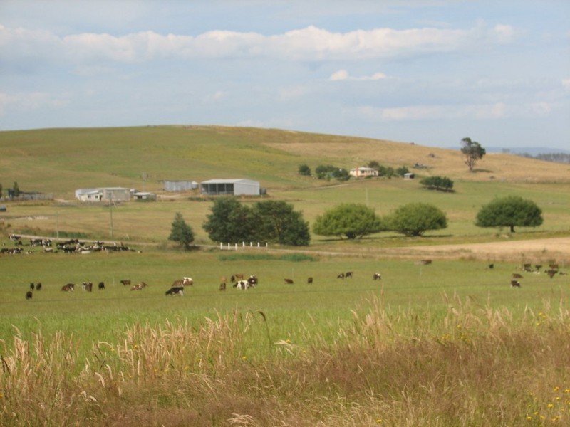 . Bradys Plains, Parkham TAS 7304