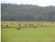 . Bradys Plains, Parkham TAS 7304