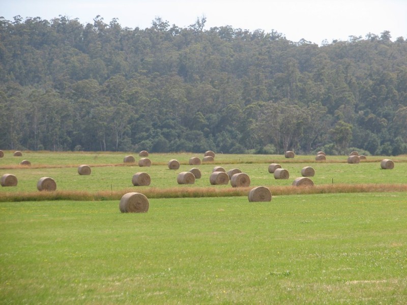 . Bradys Plains, Parkham TAS 7304