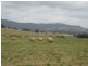 . Bradys Plains, Parkham TAS 7304
