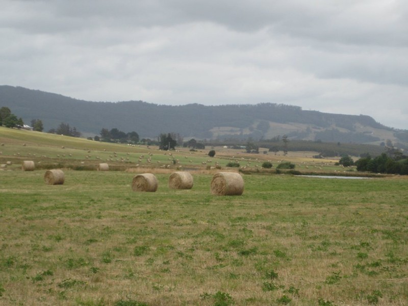 . Bradys Plains, Parkham TAS 7304