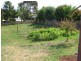 64 Westbury Place, Deloraine TAS 7304