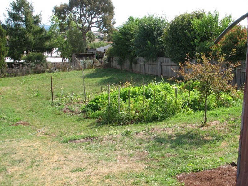 64 Westbury Place, Deloraine TAS 7304