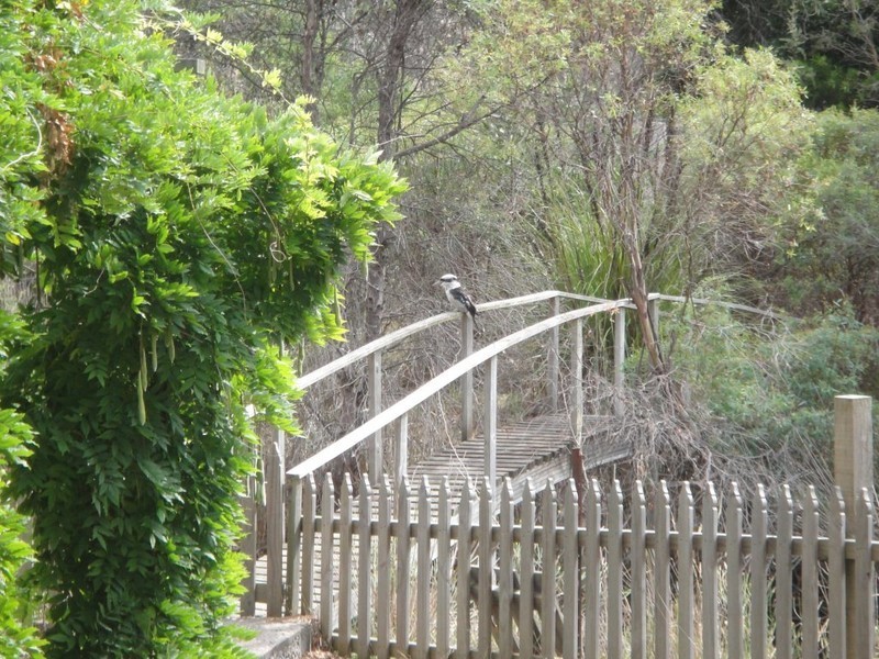 464 Avenue Road, Parkham TAS 7304