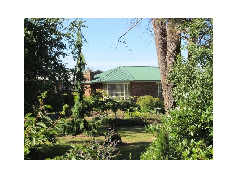 464 Avenue Road, Parkham TAS 7304