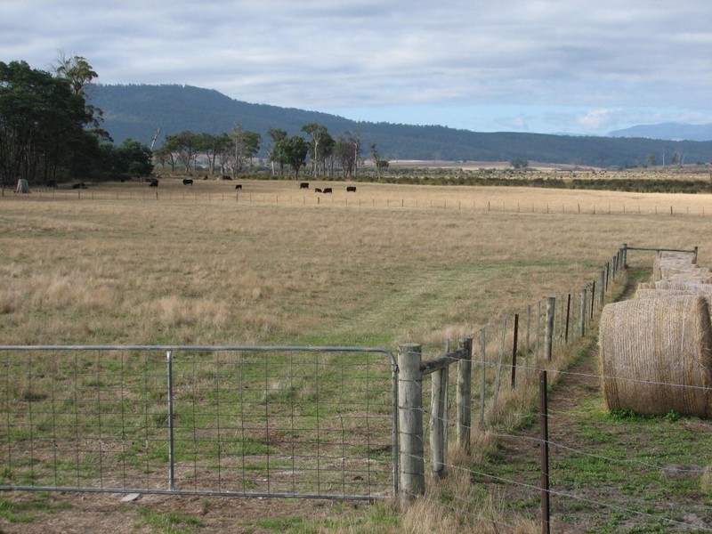 464 Avenue Road, Parkham TAS 7304