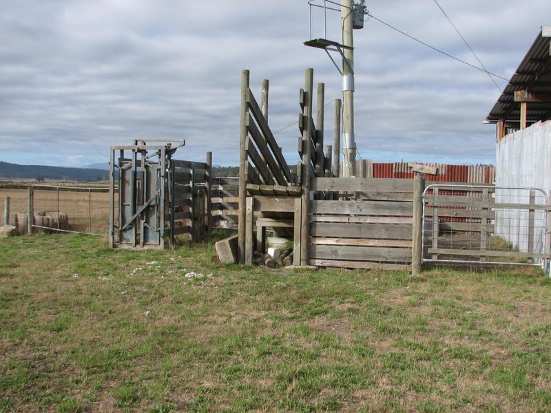 464 Avenue Road, Parkham TAS 7304