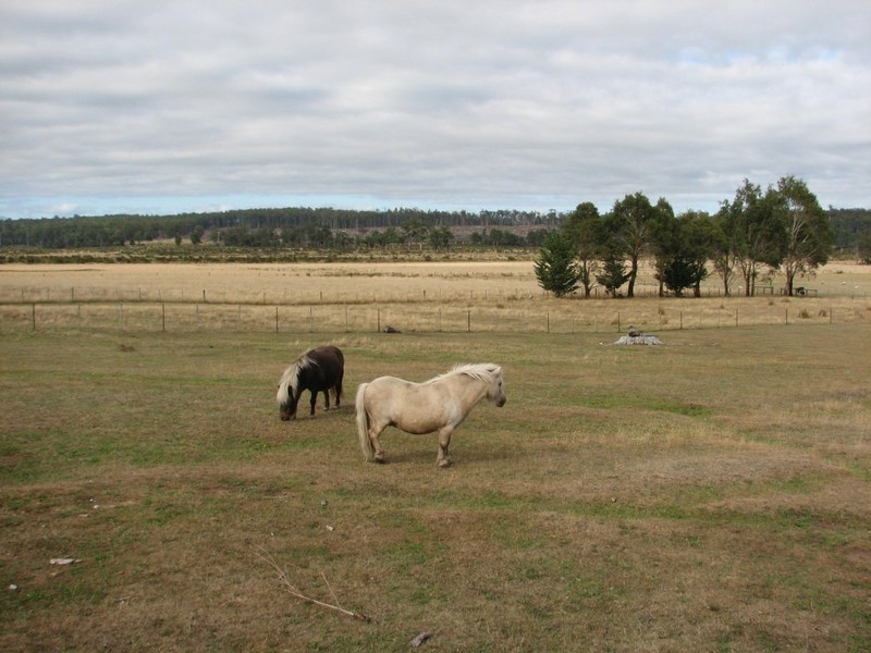 464 Avenue Road, Parkham TAS 7304