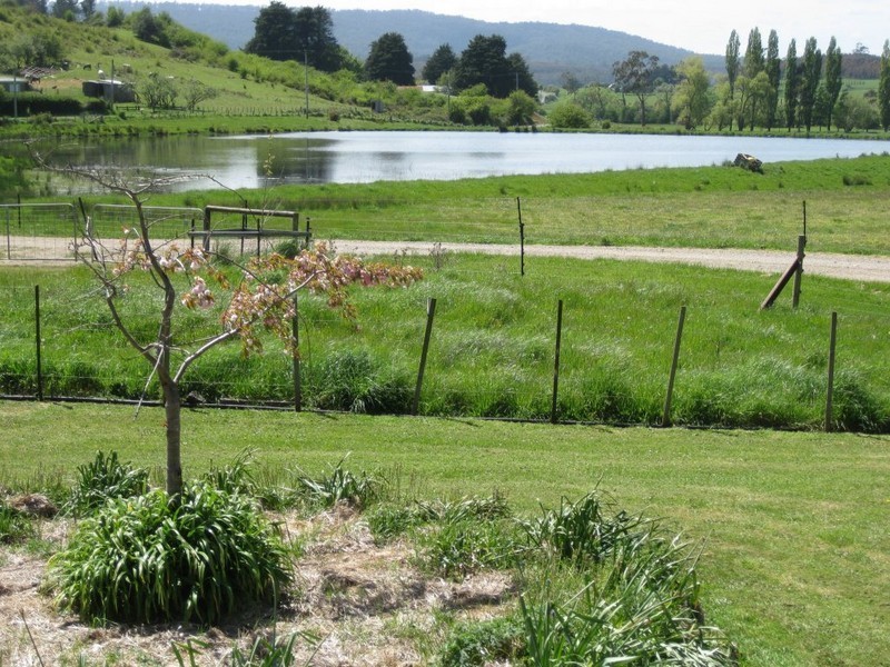 488 Dunorlan Road, Dunorlan TAS 7304