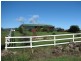 180 Maloneys Rd, Parkham TAS 7304