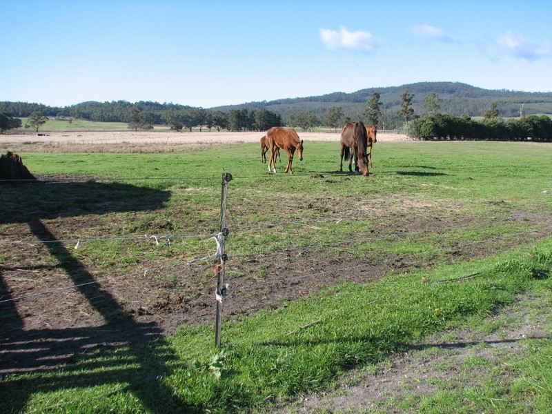 180 Maloneys Rd, Parkham TAS 7304