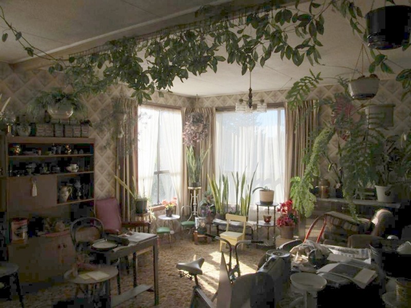 36 Caveside Road, Mole Creek TAS 7304