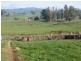 629 Lower Beulah Road, Beulah TAS 7306