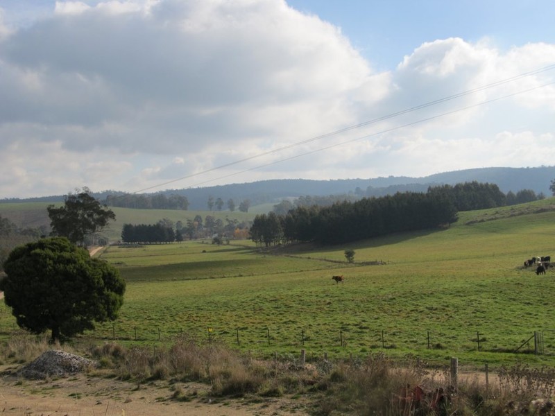 90 Wandilla Road, Quamby Brook TAS 7304