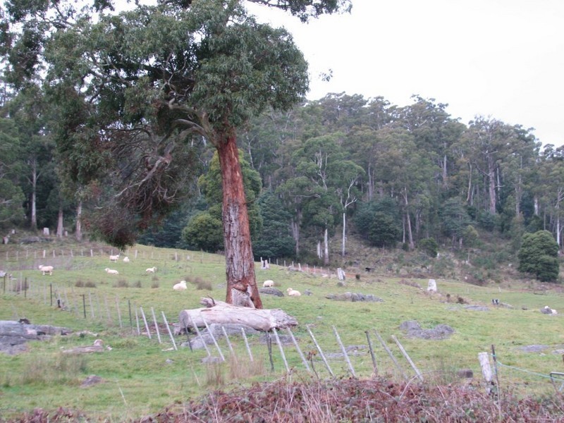 269 Caveside Road, Mole Creek TAS 7304