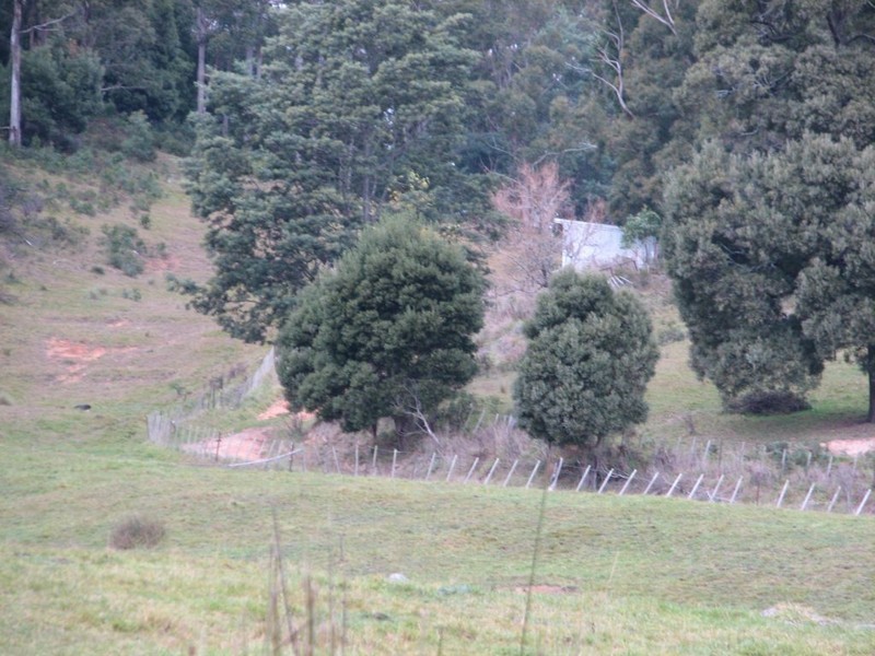 269 Caveside Road, Mole Creek TAS 7304