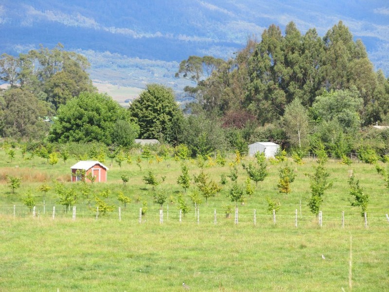 2083 Mole Creek Road, Mole Creek TAS 7304