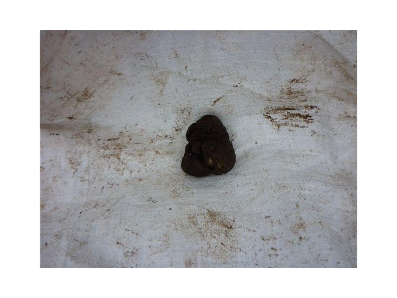 2083 Mole Creek Road, Mole Creek TAS 7304