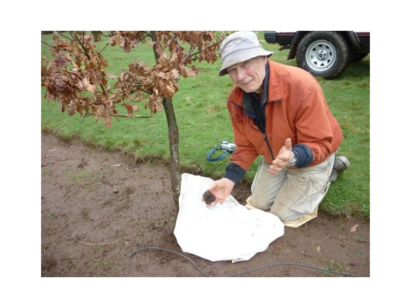 2083 Mole Creek Road, Mole Creek TAS 7304