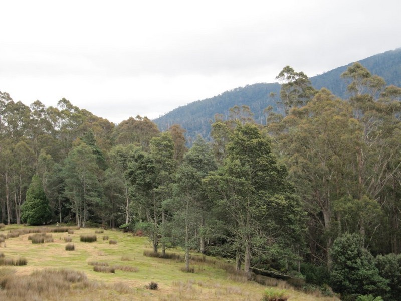 141 Tier View Road, Golden Valley TAS 7304