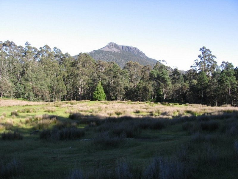 141 Tier View Road, Golden Valley TAS 7304