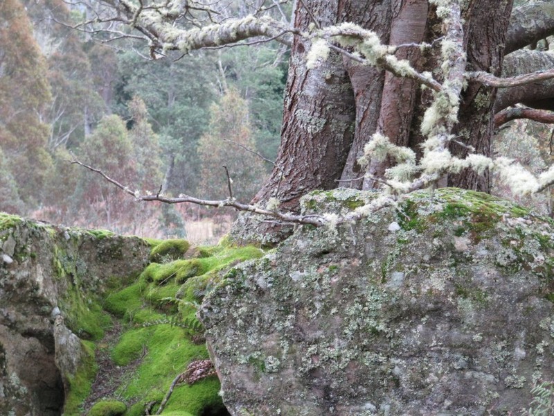 141 Tier View Road, Golden Valley TAS 7304