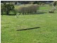 . Weegena Road, Kimberley TAS 7304
