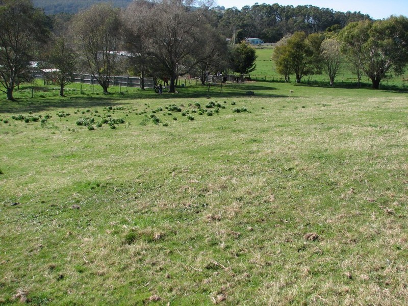 . Weegena Road, Kimberley TAS 7304