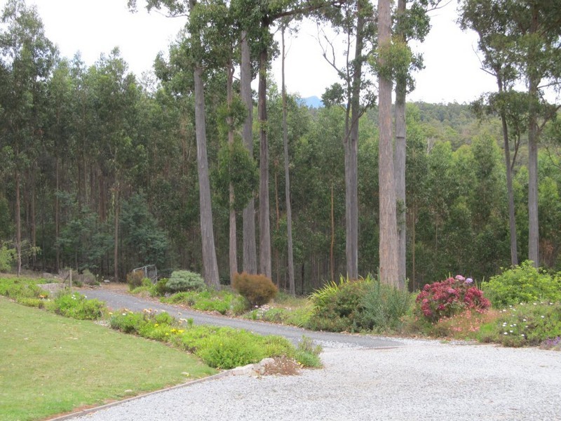 231 Davis Road, Deloraine TAS 7304