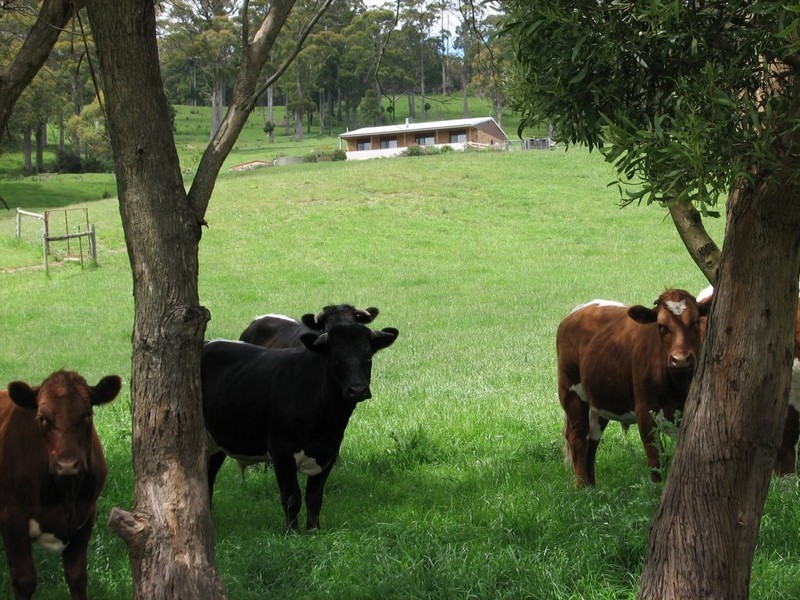 84 Coates Hill Road, Parkham TAS 7304