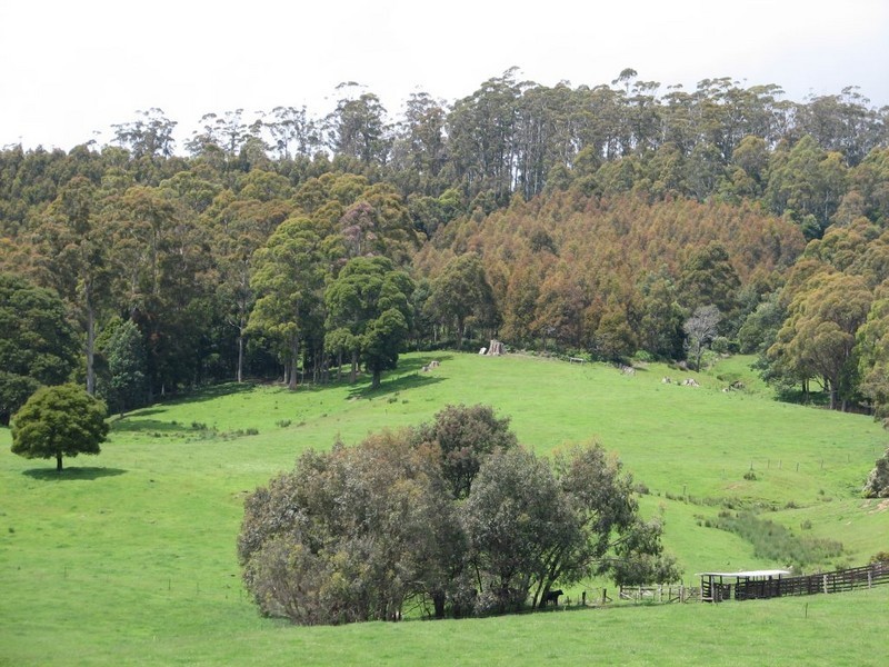 84 Coates Hill Road, Parkham TAS 7304