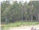 130 Farrells Road, Reedy Marsh TAS 7304