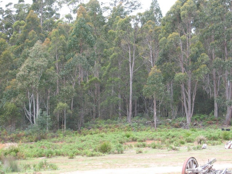 130 Farrells Road, Reedy Marsh TAS 7304