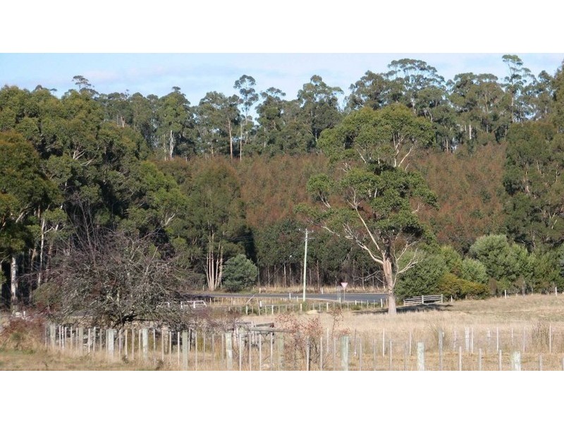 . . Highland Lakes Road, Deloraine TAS 7304