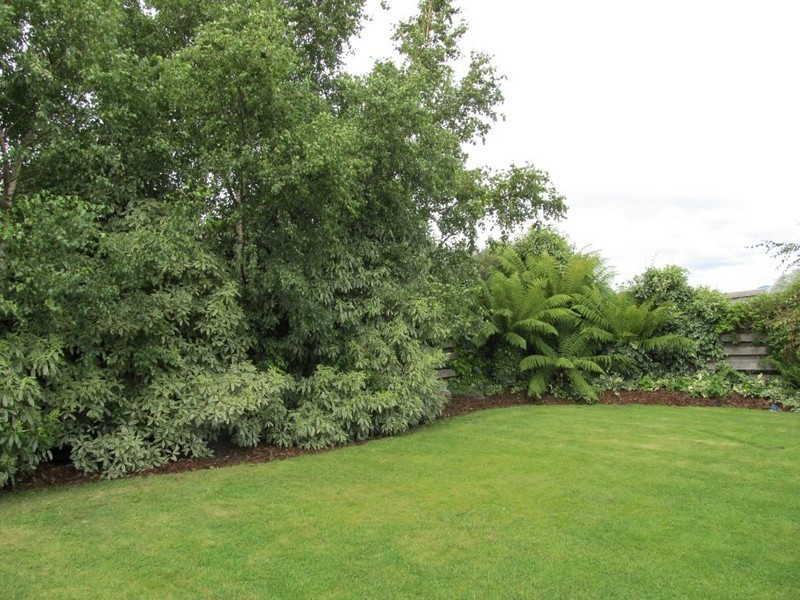 9 High Street, Deloraine TAS 7304
