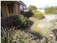 147 Emu Bay Road, Deloraine TAS 7304