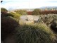 147 Emu Bay Road, Deloraine TAS 7304