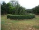 53 Beefeater Street, Deloraine TAS 7304