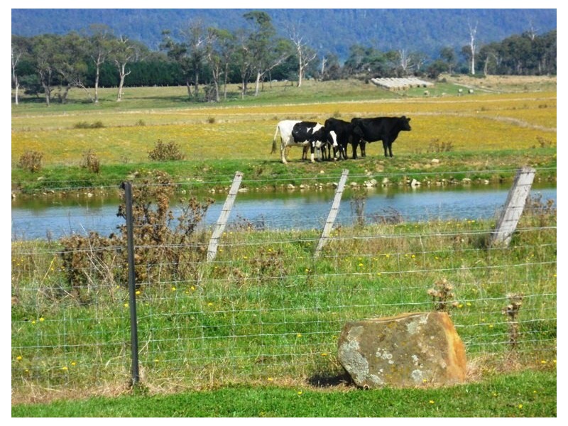 89 Gillams Road Westbury, Westbury TAS 7303