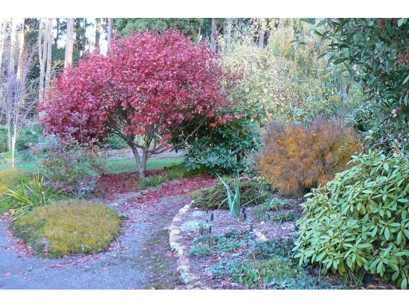 1 Pumicestone Road, Deloraine TAS 7304