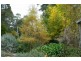 1 Pumicestone Road, Deloraine TAS 7304