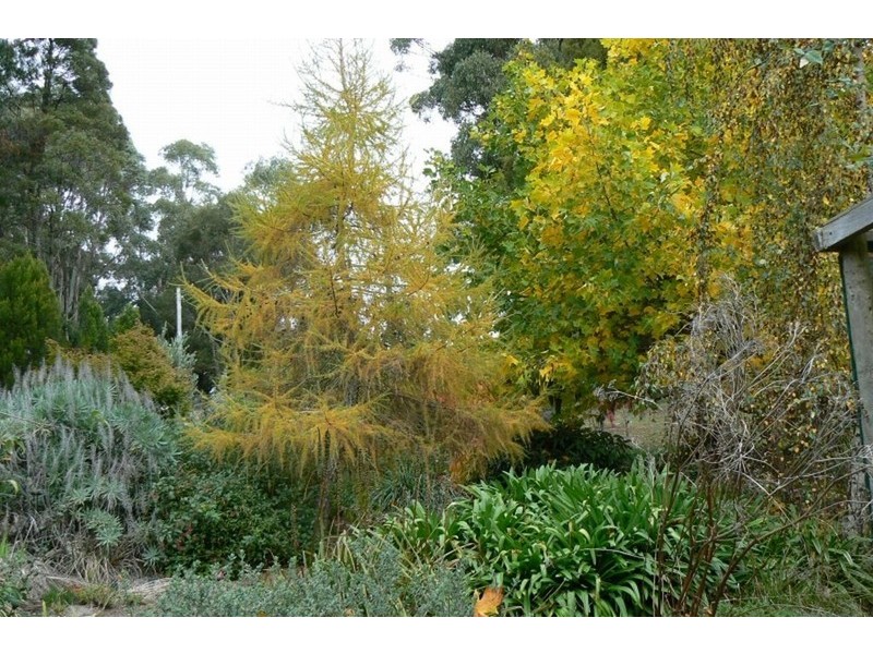 1 Pumicestone Road, Deloraine TAS 7304