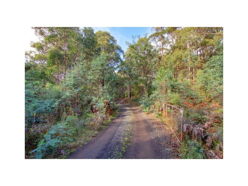 550 Porters Bridge Road, Reedy Marsh TAS 7304