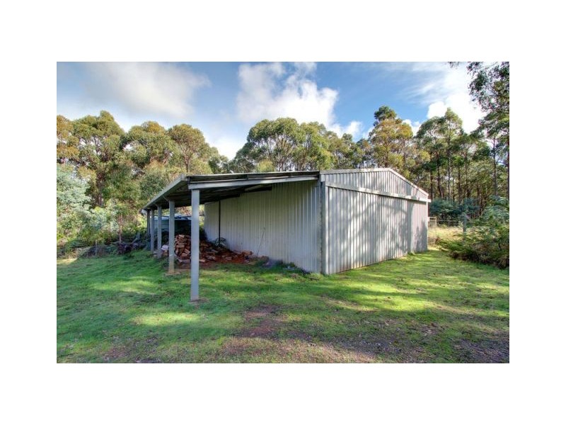550 Porters Bridge Road, Reedy Marsh TAS 7304