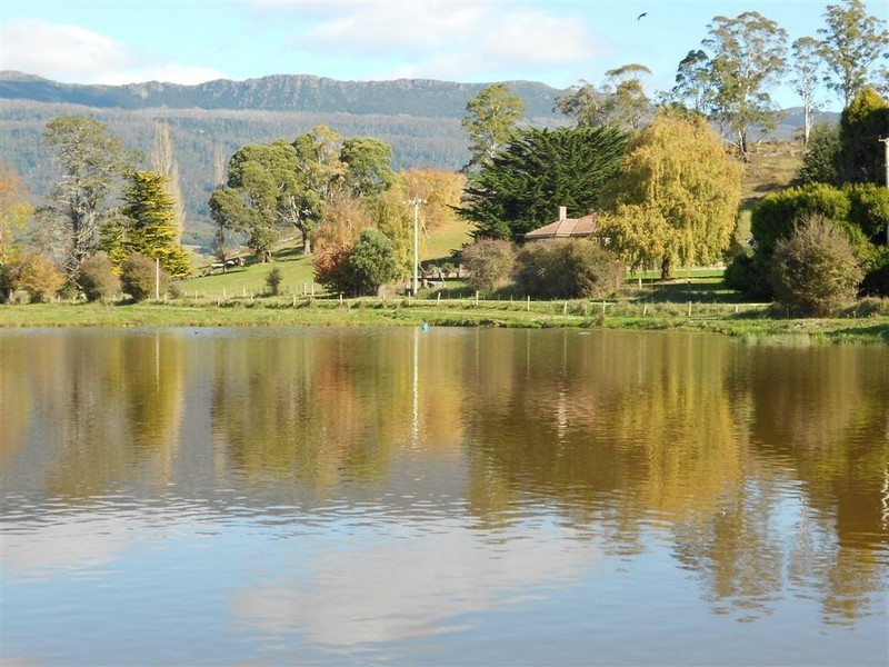 79 Bayles Road, Caveside TAS 7304