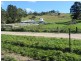 79 Bayles Road, Caveside TAS 7304
