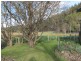 394 Scotts Road, Mole Creek TAS 7304
