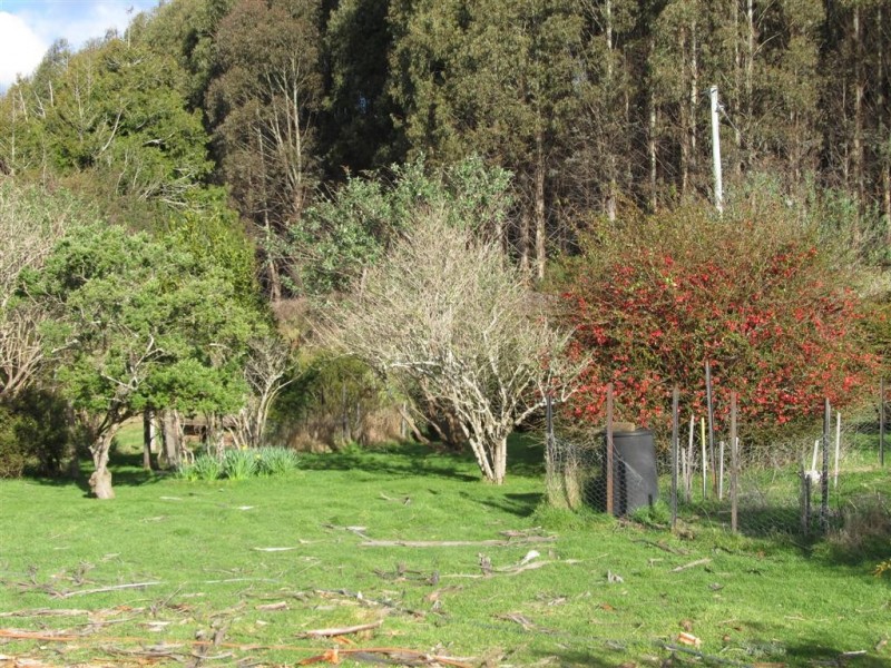 394 Scotts Road, Mole Creek TAS 7304