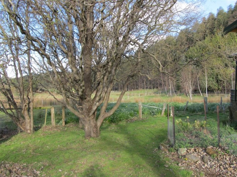 394 Scotts Road, Mole Creek TAS 7304